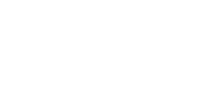 insight advisors logo white